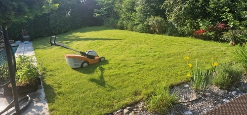 Rasenreparieren Winterthur - Impressionen unserer Arbeit