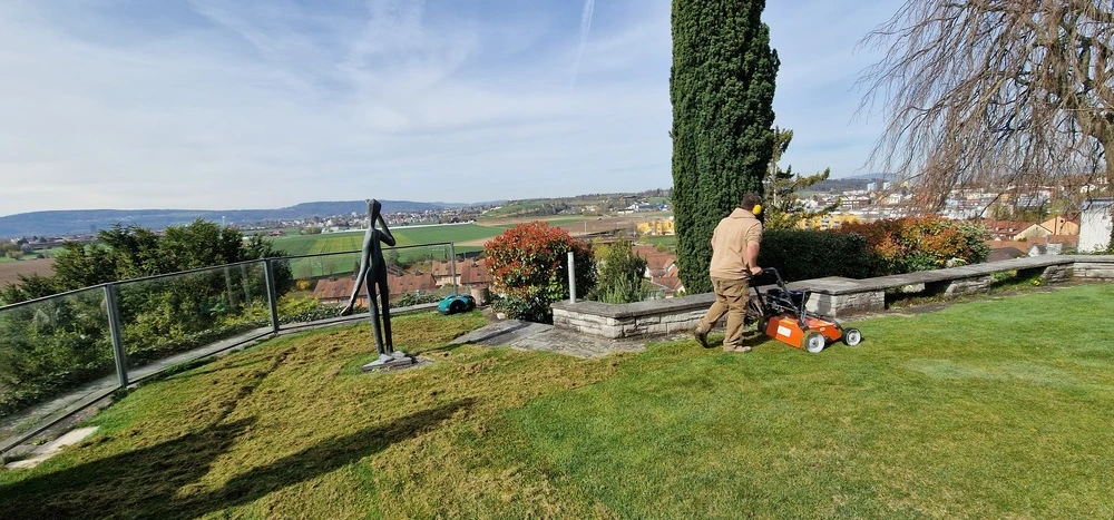 Rasenreparatur-Experten in Winterthur - Rasenreparieren Winterthur in Winterthur