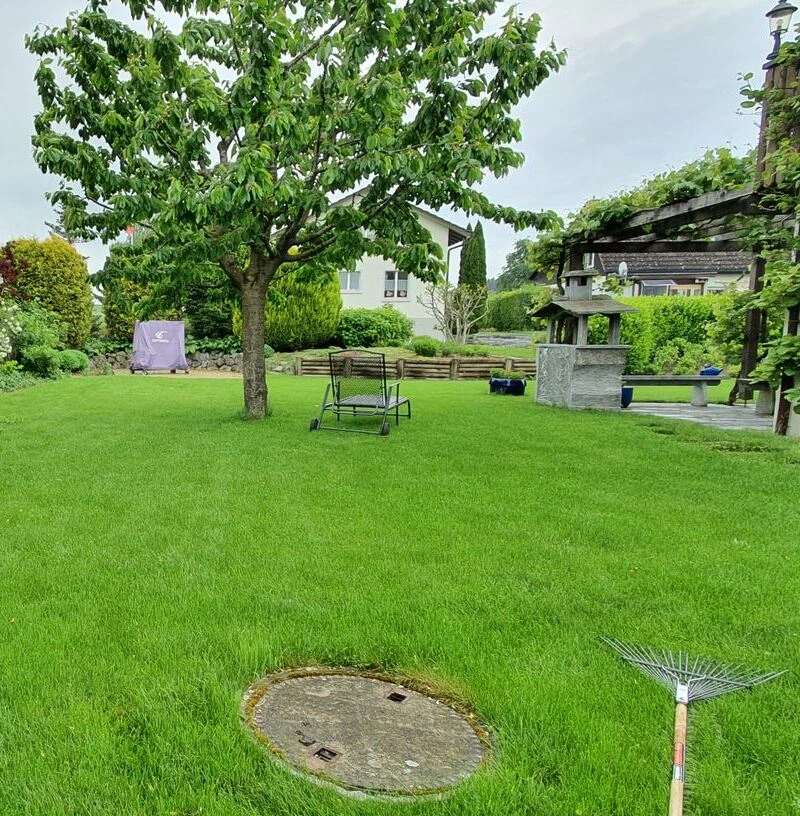 Rasenreparieren Winterthur - Ihr Rasen in besten Händen